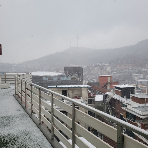 피드 이미지