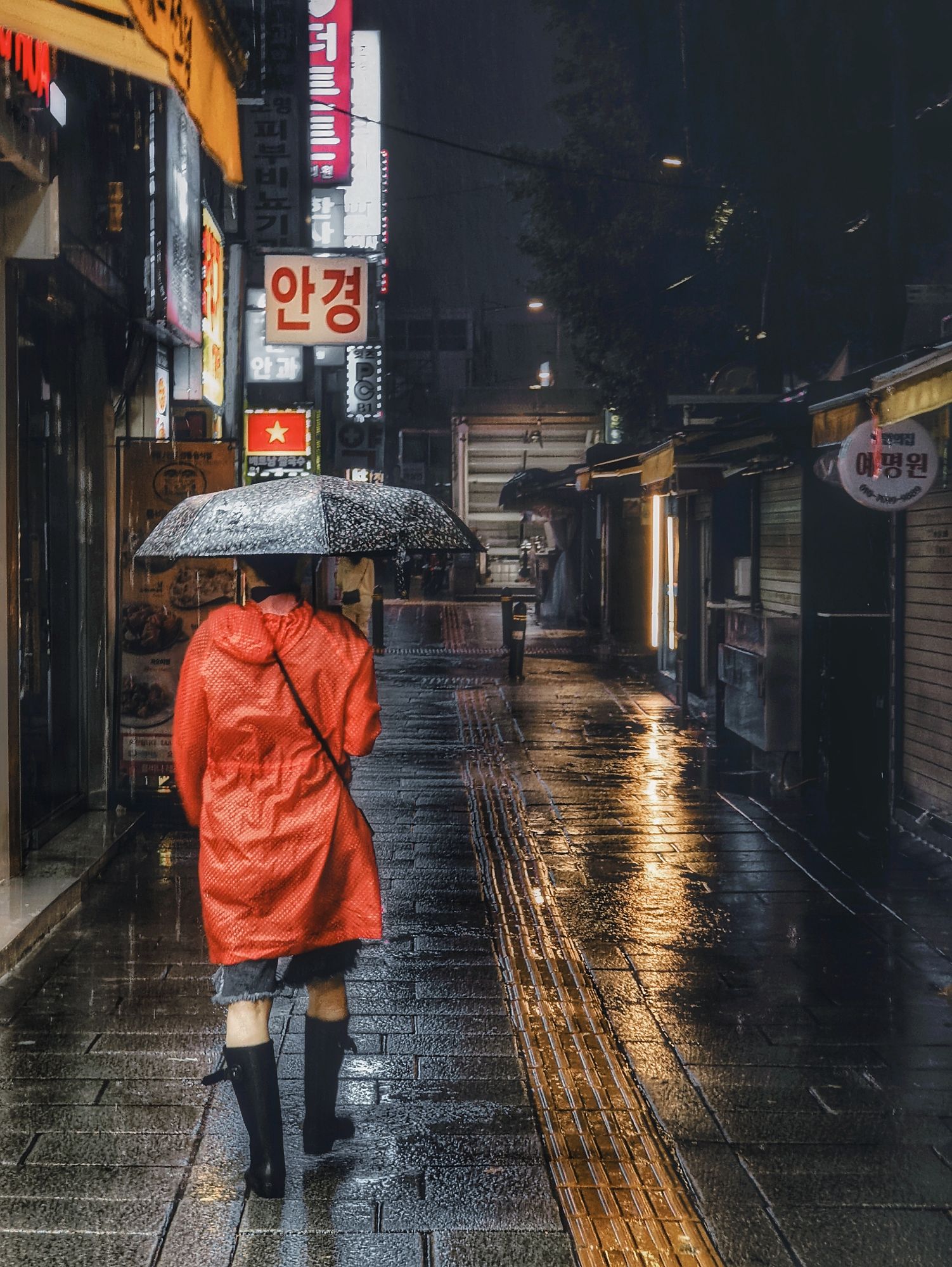 피드 이미지