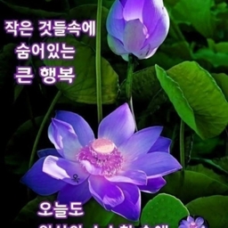 피드에 업로드 된 이미지