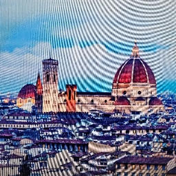 피드에 업로드 된 이미지