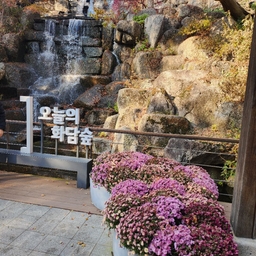 피드에 업로드 된 이미지