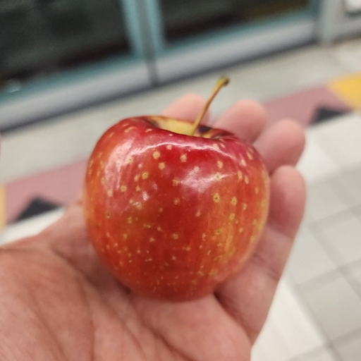 피드 이미지