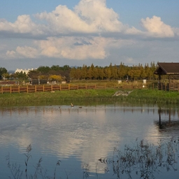 피드에 업로드 된 이미지