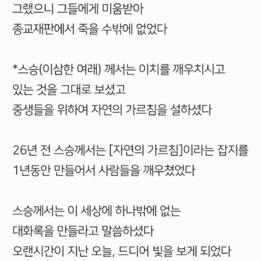 피드 이미지