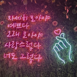 피드에 업로드 된 이미지