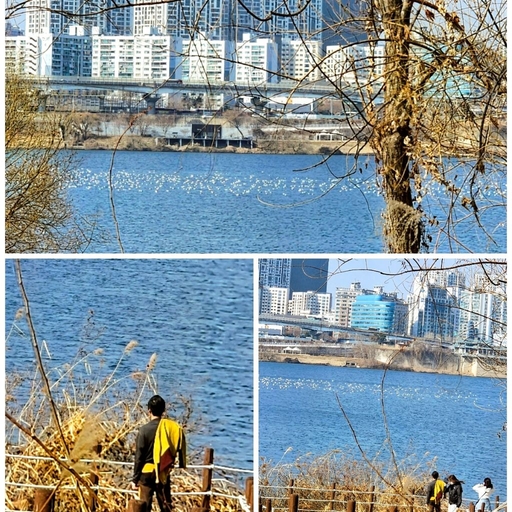 ํผ๋ ์ด๋ฏธ์ง