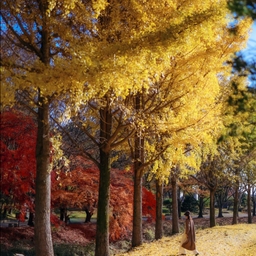 피드에 업로드 된 이미지