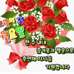 피드에 업로드 된 이미지