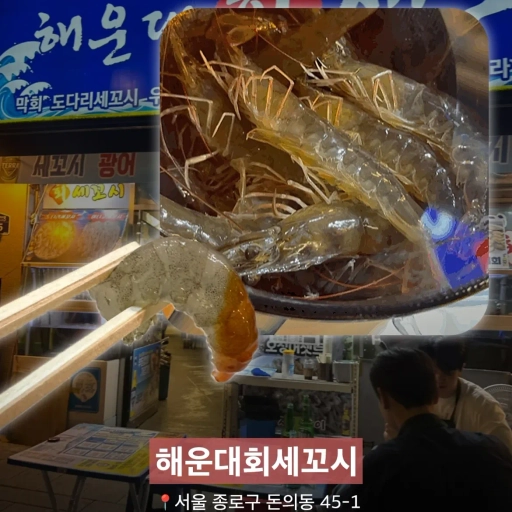 피드 이미지