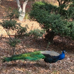 피드에 업로드 된 이미지