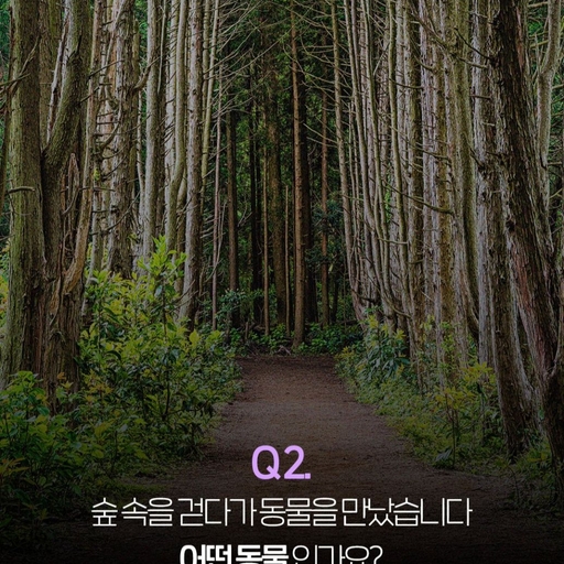 피드 이미지