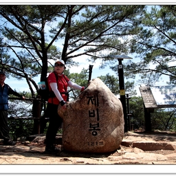 피드에 업로드 된 이미지