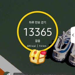 피드에 업로드 된 이미지