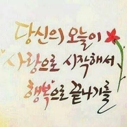 피드에 업로드 된 이미지