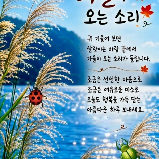피드 이미지