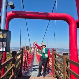 피드에 업로드 된 이미지