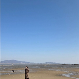 피드에 업로드 된 이미지