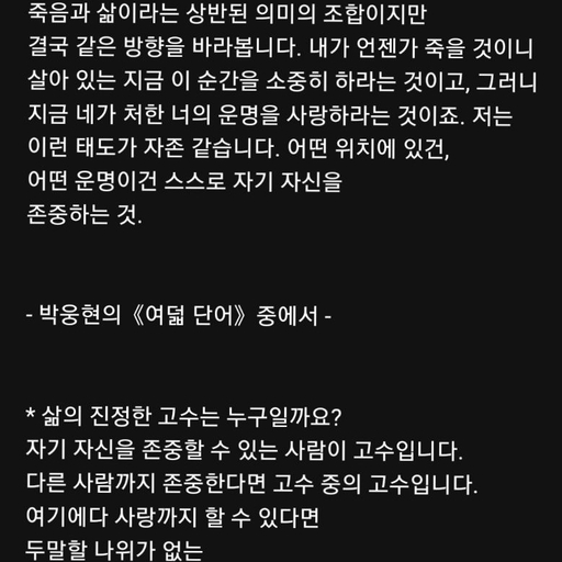 피드 이미지