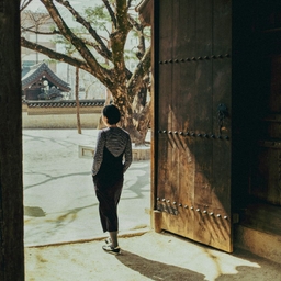 피드에 업로드 된 이미지