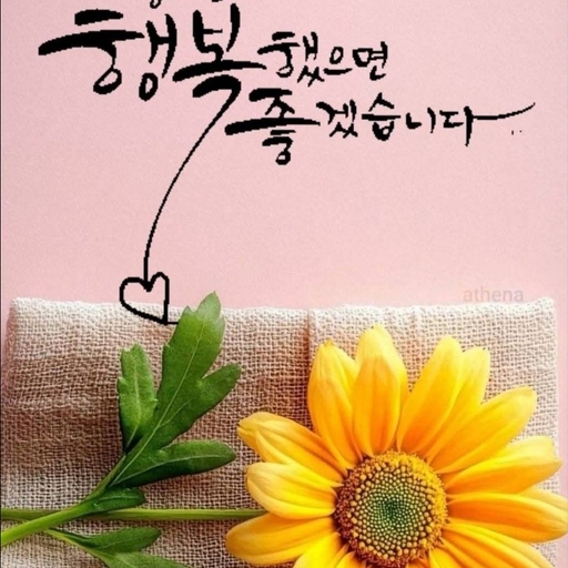 피드 이미지
