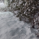 피드 작성자 프로필