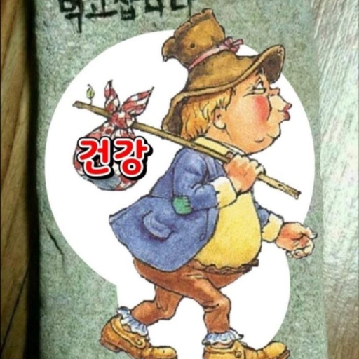 피드 이미지
