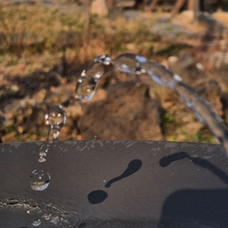 피드에 업로드 된 이미지