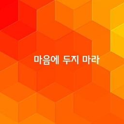 피드에 업로드 된 이미지