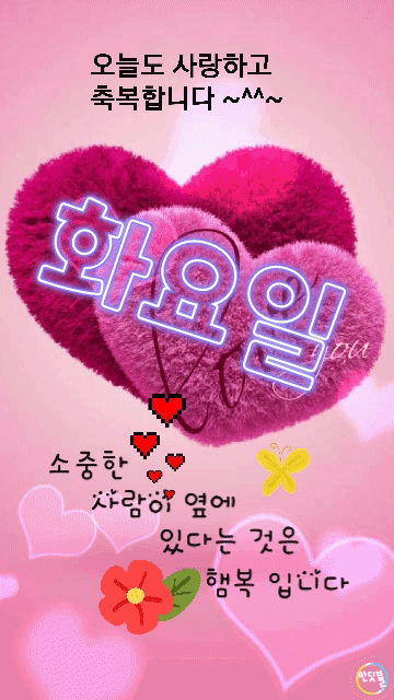 피드에 업로드 된 이미지