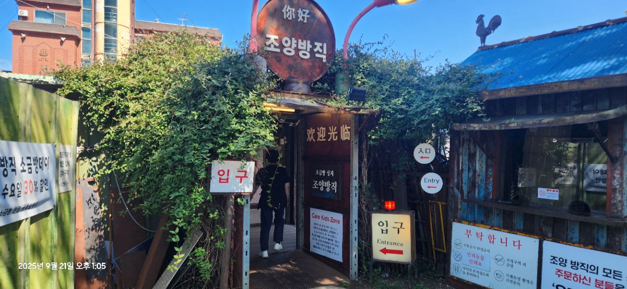 피드 이미지