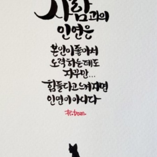 피드 이미지