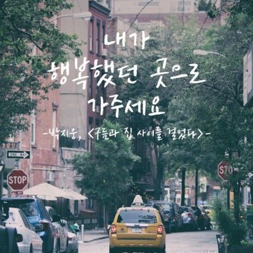 피드 이미지