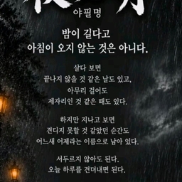 피드에 업로드 된 이미지