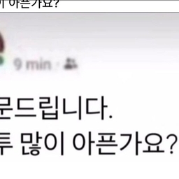 피드에 업로드 된 이미지