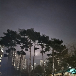 피드에 업로드 된 이미지