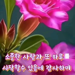 피드에 업로드 된 이미지