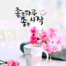 피드에 업로드 된 이미지