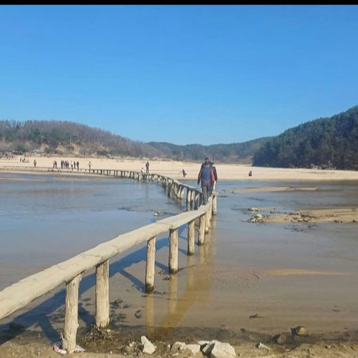 피드 이미지