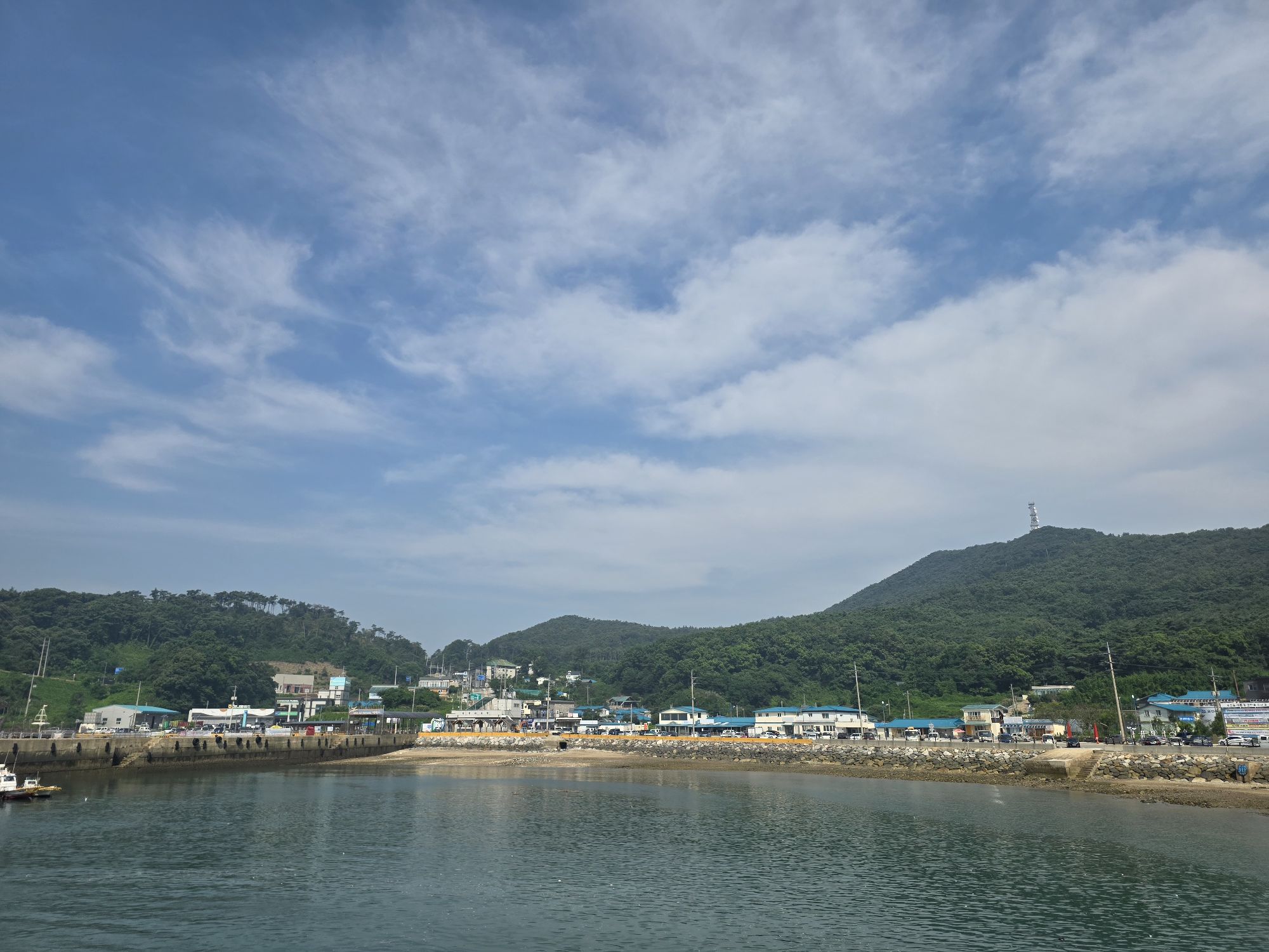 피드 이미지
