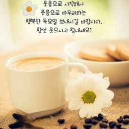 피드에 업로드 된 이미지