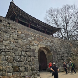 피드에 업로드 된 이미지