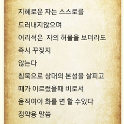 피드에 업로드 된 이미지