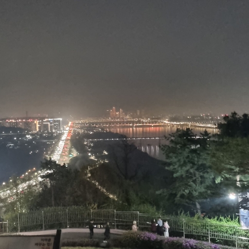 피드 이미지
