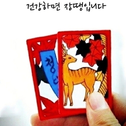 피드에 업로드 된 이미지