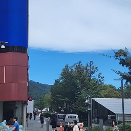 피드에 업로드 된 이미지