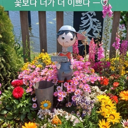 피드에 업로드 된 이미지