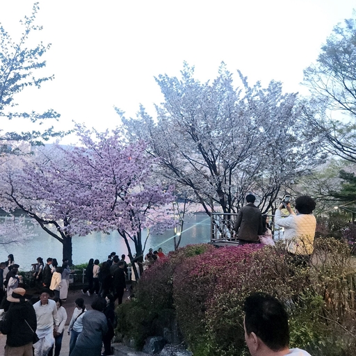피드 이미지