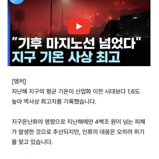피드 이미지