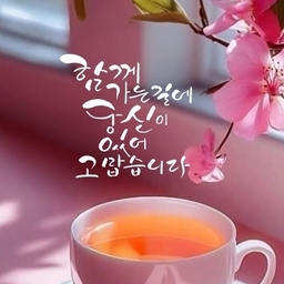 피드에 업로드 된 이미지