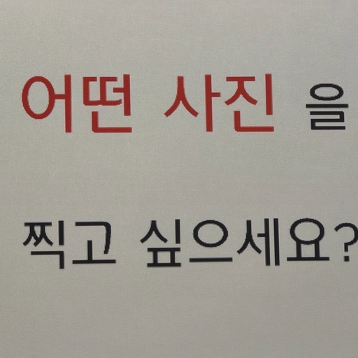 피드 이미지